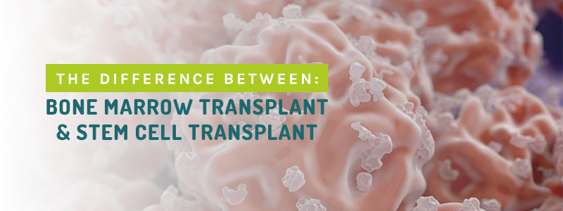 ARE STEM CELL AND BONE MARROW TRANSPLANTS THE SAME?