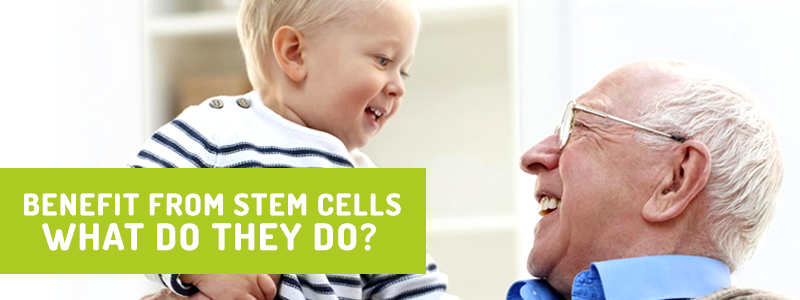 Benefits of stem cells. What do they do?