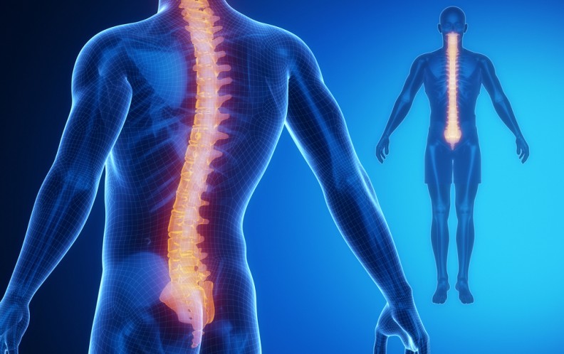 Spinal Cord Injury